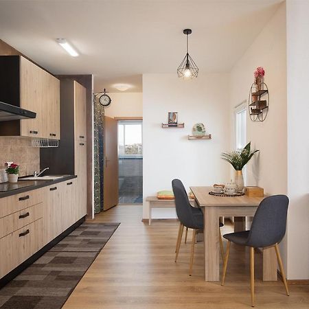 Apartment Little Gallery **** ロヴィニ エクステリア 写真